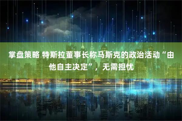 掌盘策略 特斯拉董事长称马斯克的政治活动“由他自主决定”，无需担忧