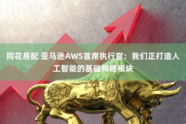 同花易配 亚马逊AWS首席执行官：我们正打造人工智能的基础构建模块