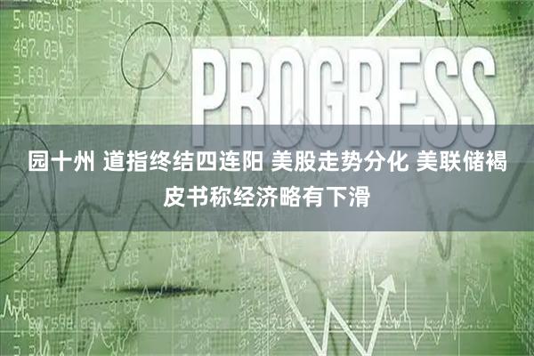 园十州 道指终结四连阳 美股走势分化 美联储褐皮书称经济略有下滑
