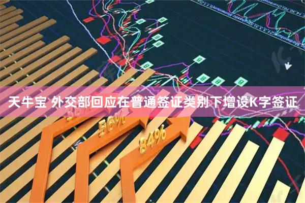 天牛宝 外交部回应在普通签证类别下增设K字签证