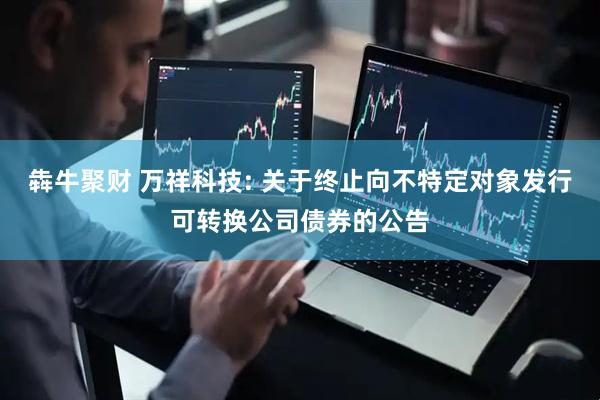 犇牛聚财 万祥科技: 关于终止向不特定对象发行可转换公司债券的公告