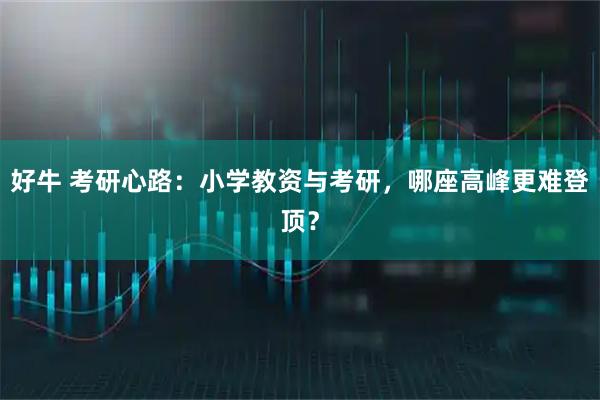 好牛 考研心路：小学教资与考研，哪座高峰更难登顶？