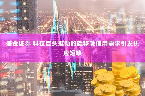 盛金证券 科技巨头推动的碳移除信用需求引发供应短缺