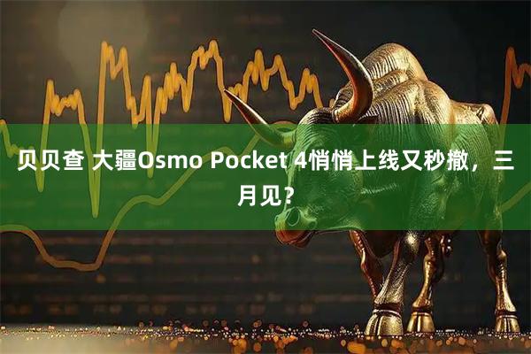 贝贝查 大疆Osmo Pocket 4悄悄上线又秒撤，三月见？