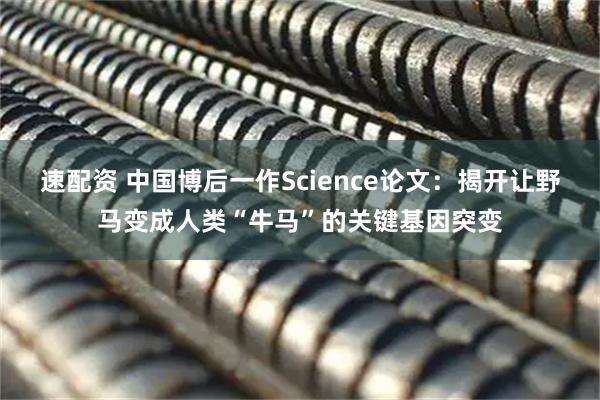 速配资 中国博后一作Science论文：揭开让野马变成人类“牛马”的关键基因突变