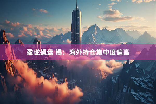 盈珑操盘 锡：海外持仓集中度偏高